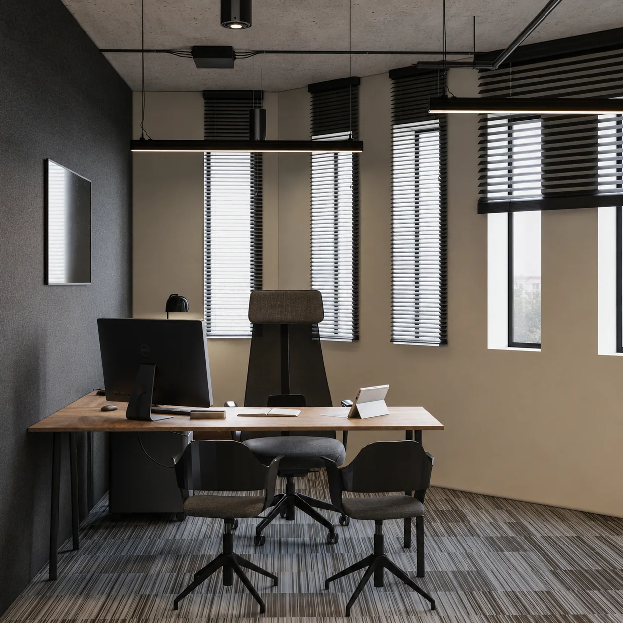 Private office with suspended linear lighting